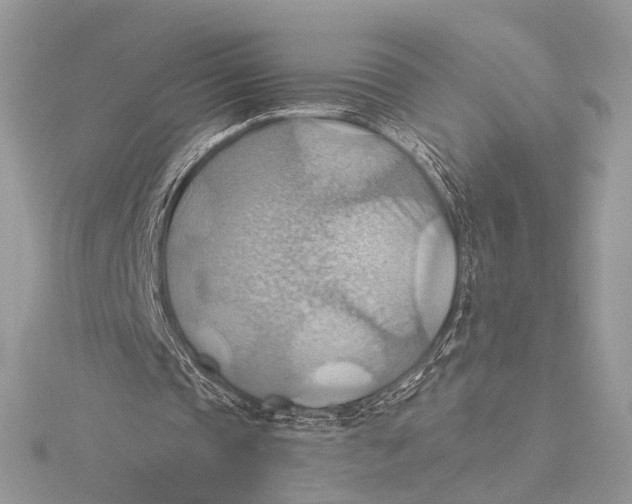 X0000115790337200912041517