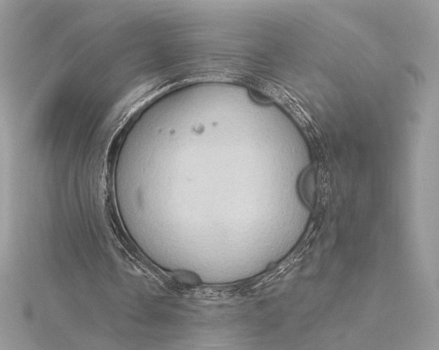 X0000115790338200912041517