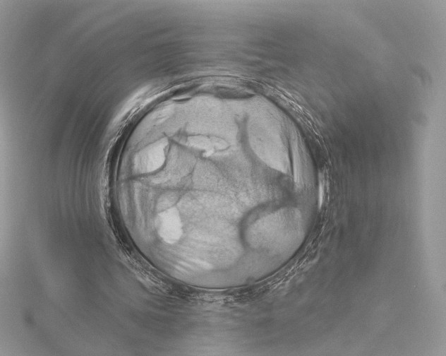 X0000115790339200912041517