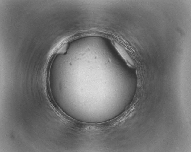 X0000115790341200912041517