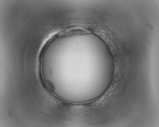 X0000115790342200912041517