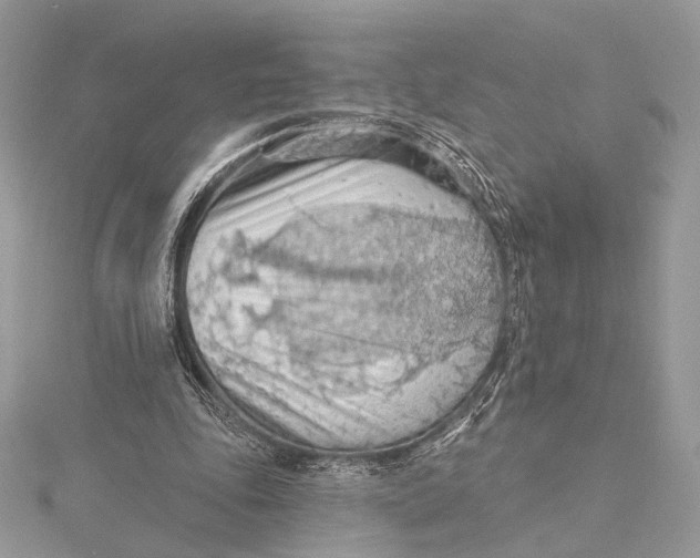 X0000115790343200912041517