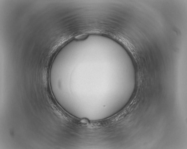 X0000115790345200912041517