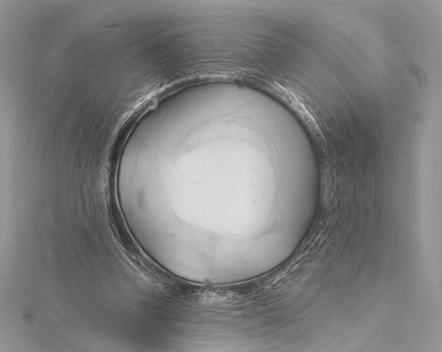 X0000115790346200912041517