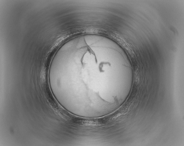 X0000115790347200912041517