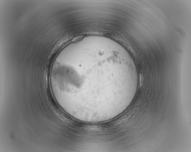 X0000115790349200912041517