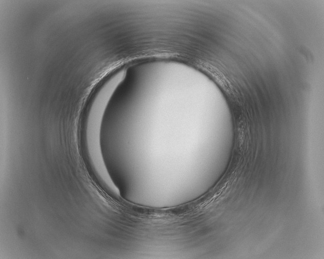 X0000115790350200912041517