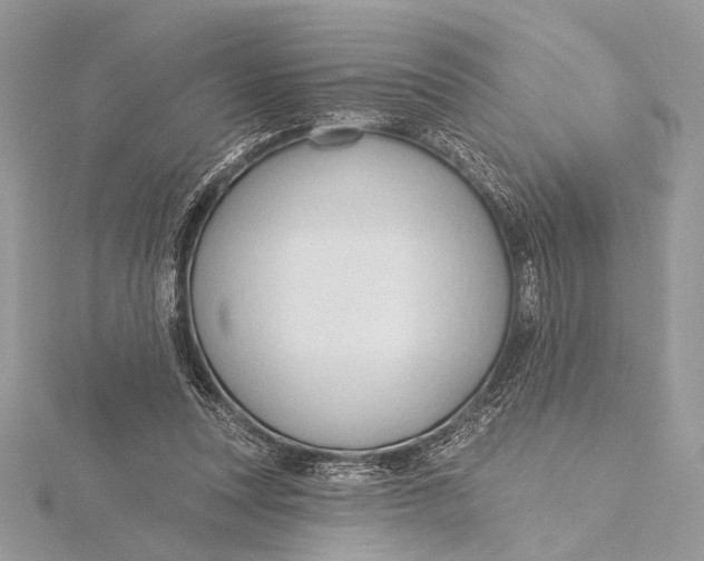 X0000115790351200912041517