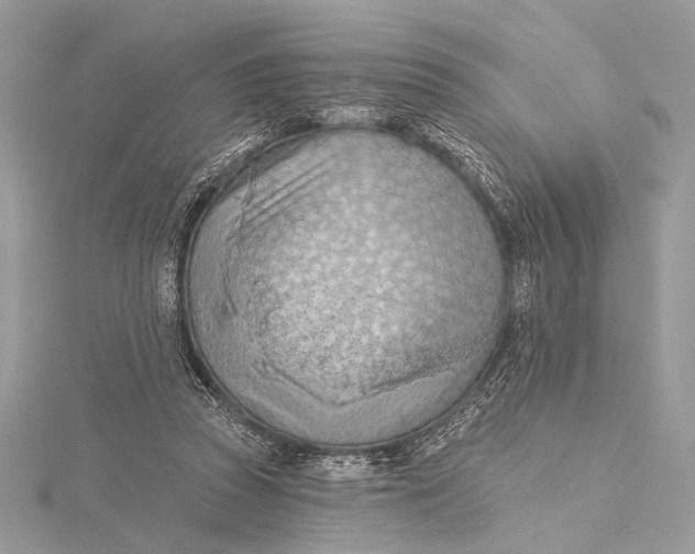 X0000115790353200912041517