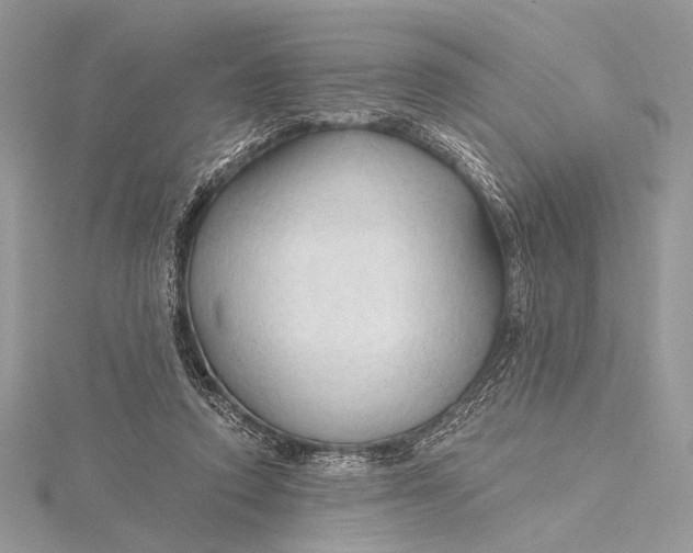 X0000115790354200912041517