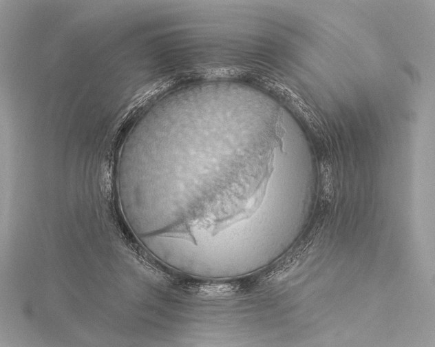 X0000115790357200912041517