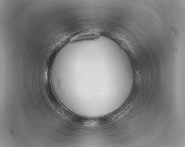 X0000115790358200912041517