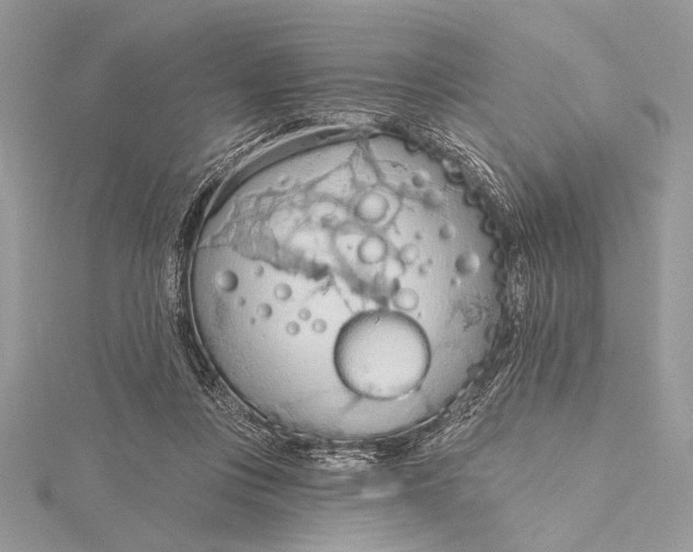 X0000115790359200912041517