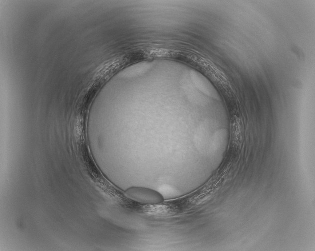 X0000115790361200912041517