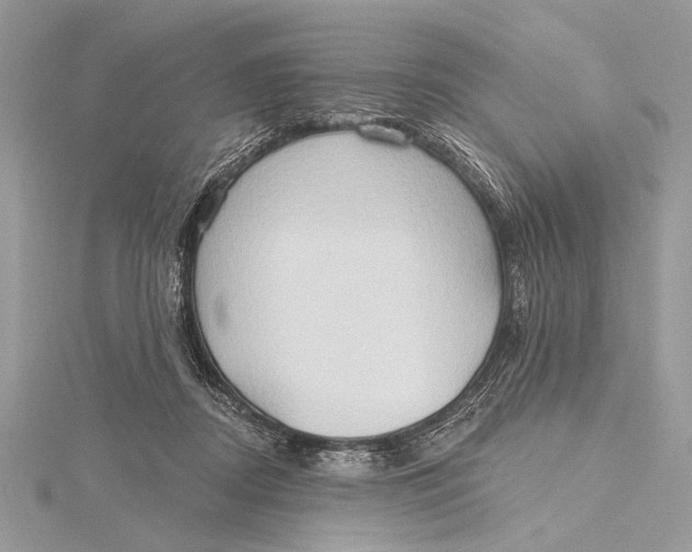 X0000115790362200912041517