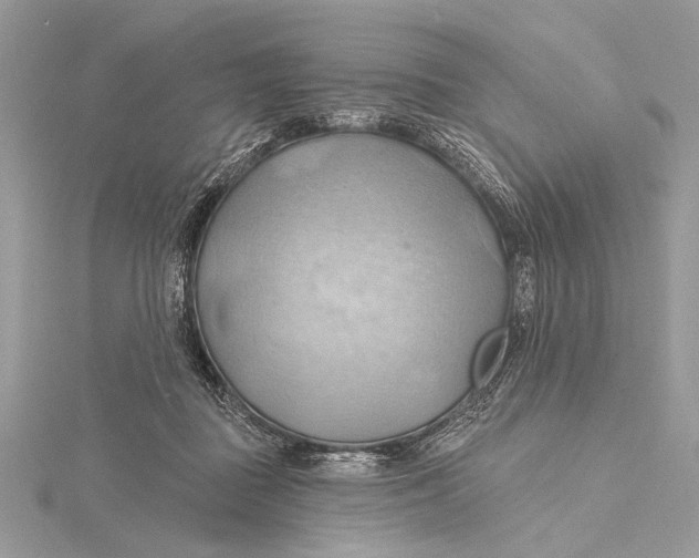 X0000115790363200912041517