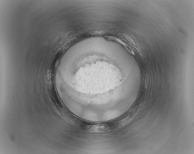 X0000115790366200912041517