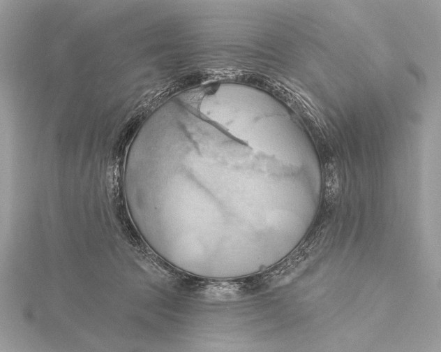 X0000115790369200912041517