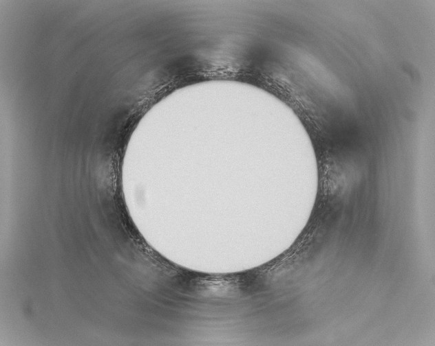 X0000115790370200912041517