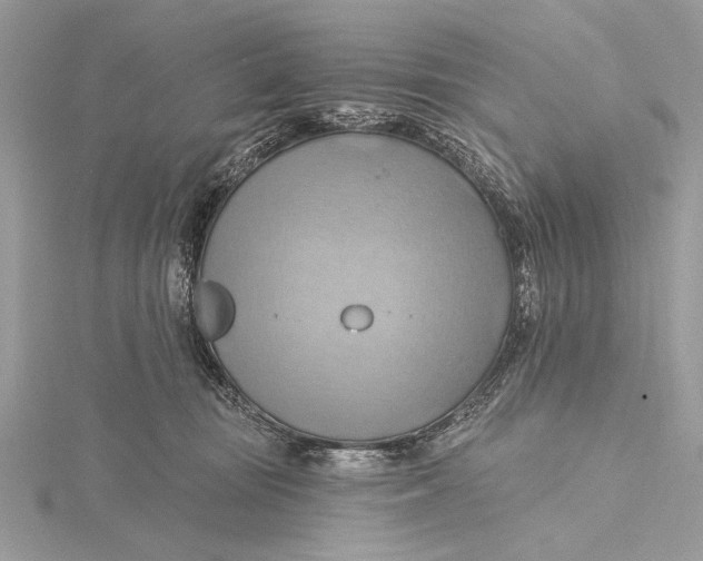 X0000115790371200912041517