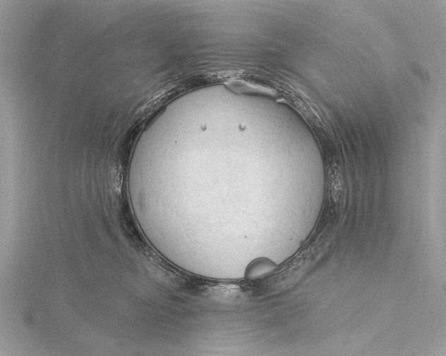 X0000115790374200912041517