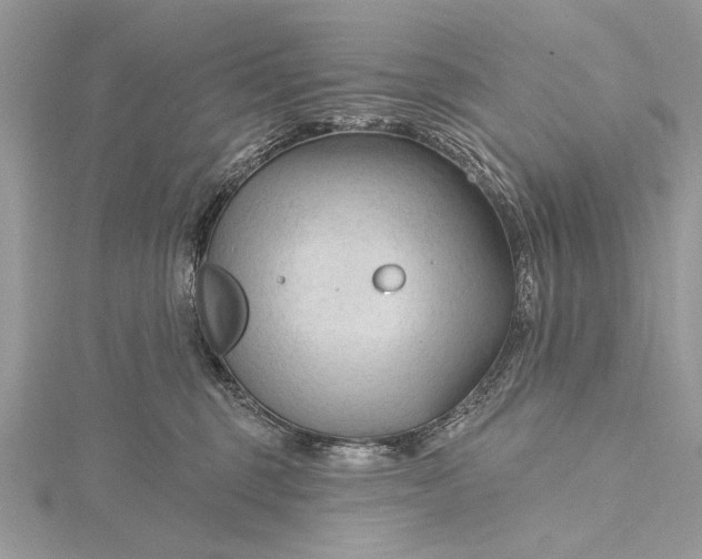 X0000115790375200912041517