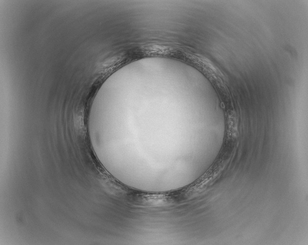 X0000115790377200912041517