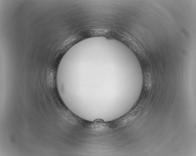 X0000115790378200912041517