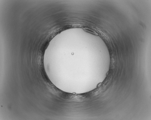 X0000115790379200912041517