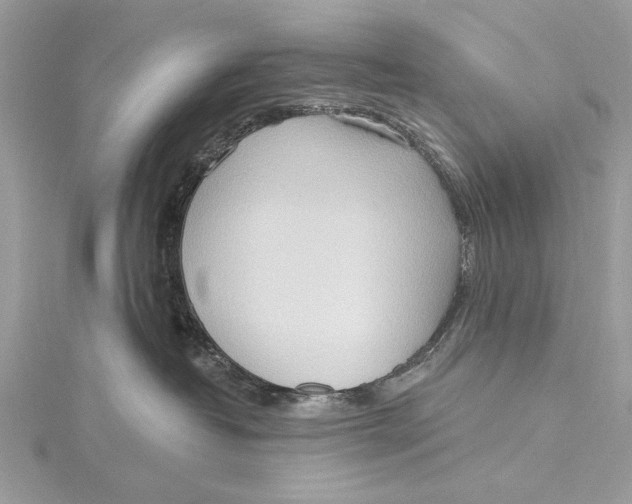 X0000115790382200912041517