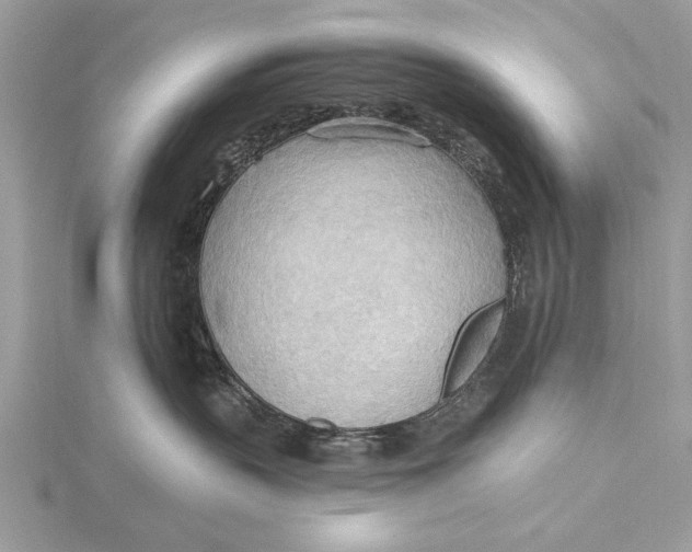 X0000115790383200912041517