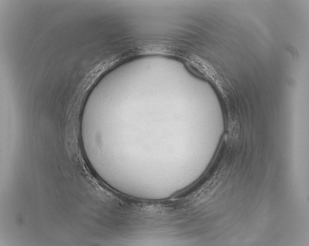 X0000115790385200912041517