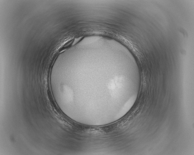 X0000115790386200912041517