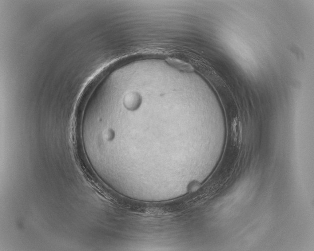 X0000115790388200912041517