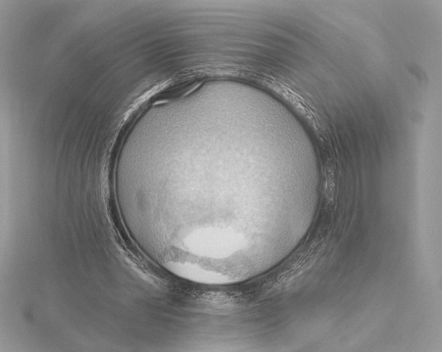 X0000115790390200912041517