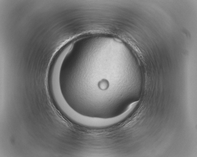 X0000115790391200912041517