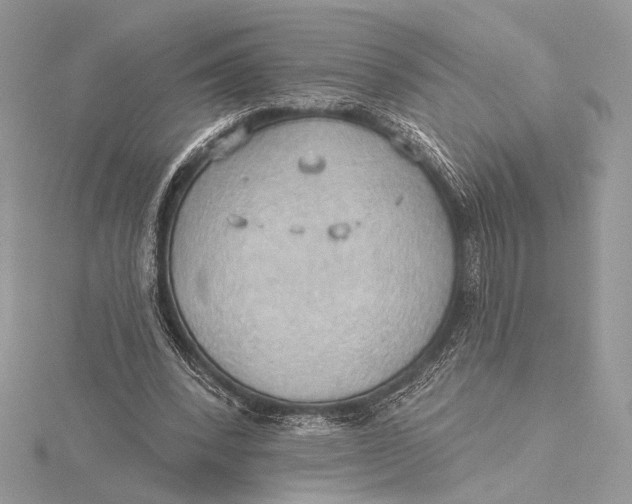 X0000115790392200912041517