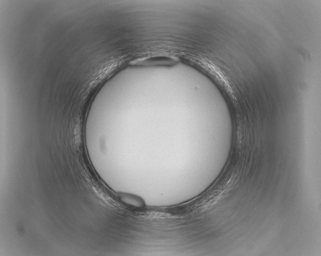 X0000115790393200912041517