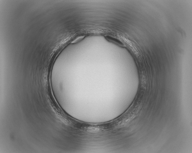 X0000115790394200912041517