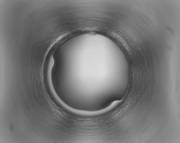 X0000115790395200912041517