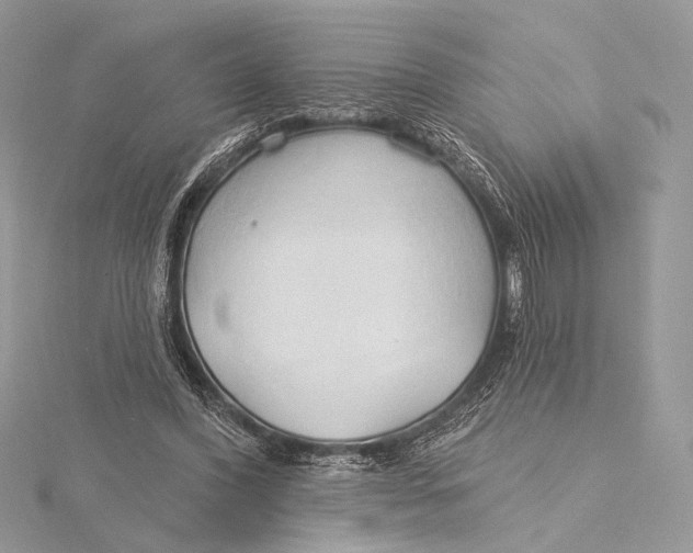 X0000115790396200912041517