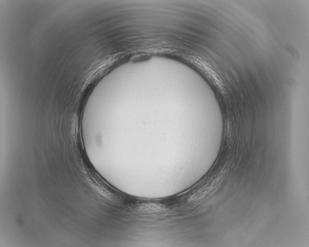 X0000115790397200912041517