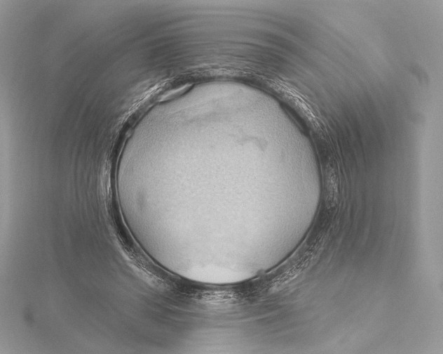 X0000115790398200912041517