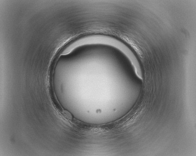 X0000115790399200912041517