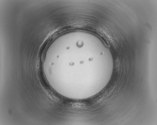 X0000115790400200912041517