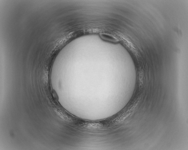 X0000115790401200912041517