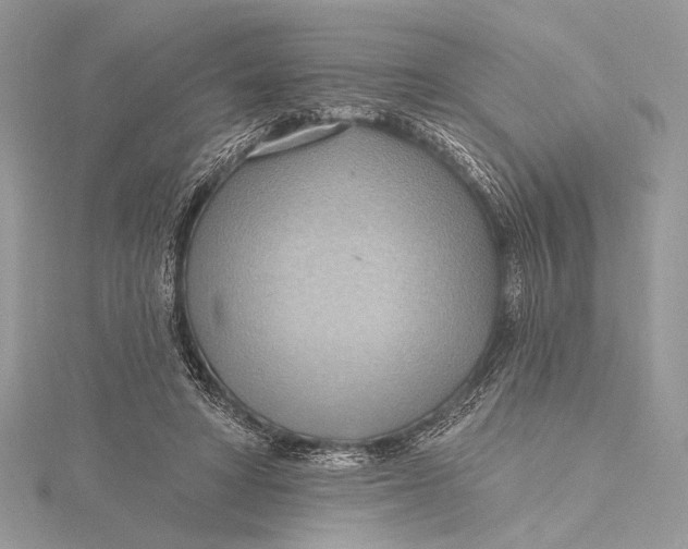 X0000115790402200912041517