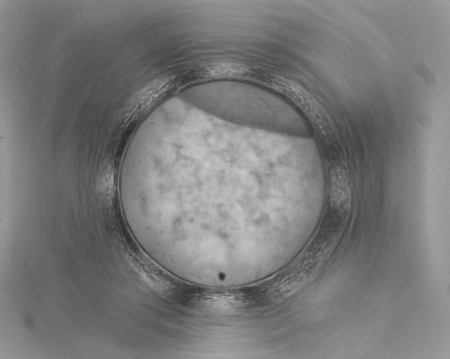 X0000115790405200912041517