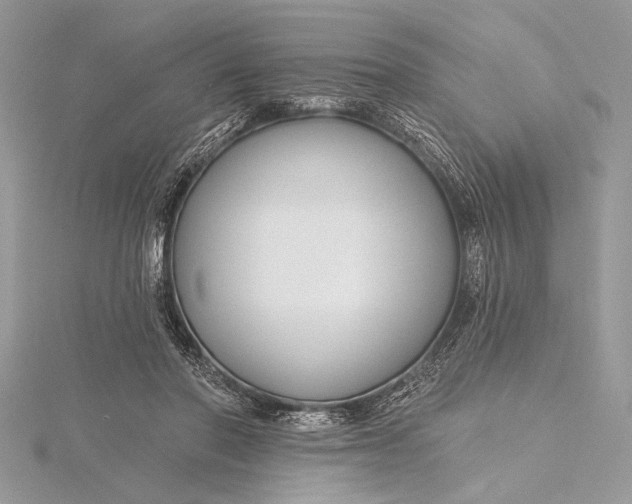 X0000115790406200912041517