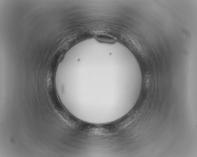 X0000115790408200912041517